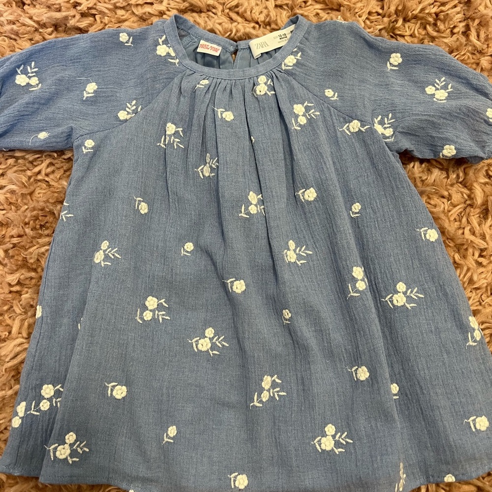 Zara dress